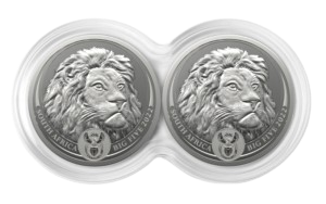 Img-lion-300x188-removebg-preview